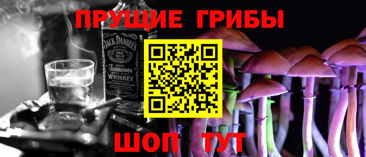 Гурьевск  Псилоцибиновые грибы мухоморы  Вход с VPN 