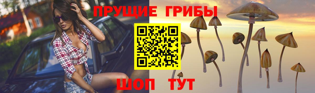 Галлюциногенные грибы прущие грибы Гурьевск